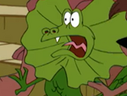 Toonimals! (2000)