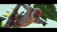 The Monkey King (2023)