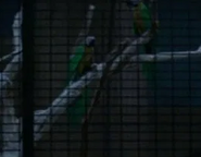 Fantastic Beasts and Where to Find Them (2016)