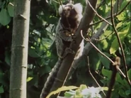 Life on Earth (1979)