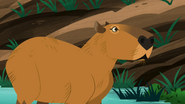 Wild Kratts (2011-)