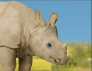 The Wonder Pets (2006-2013)