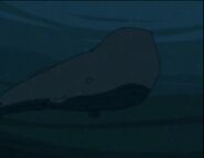 Jacques Cousteau's Ocean Tales (2003)