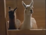 Noah (1998)