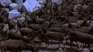 White Fang 2: Myth of the White Wolf (1994)