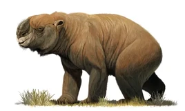 Diprotodon RL