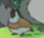 Little Bear (1995-2003)