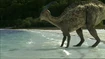 Parasaurolophus'