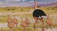 Kenya Boy (1984)