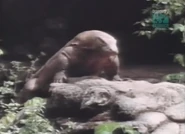 Paleoworld (1994-1997)