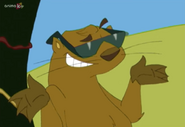 Toonimals! (2000)