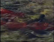 Last Stand of the Giants (1992)