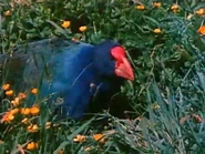 The Living Planet (1984) “Worlds Apart”