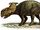 Pachyrhinosaurus