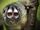 Grey-bellied Night Monkey