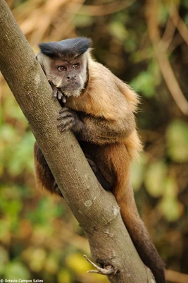 47b2c4bfd77d3e7b1bae8ce44de6a327