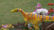 Dino Dan (2010)