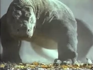 Amazing Animals (1996-1999)