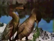 Perspectives of Paradise (1987)