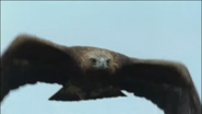 Flight School (2004)