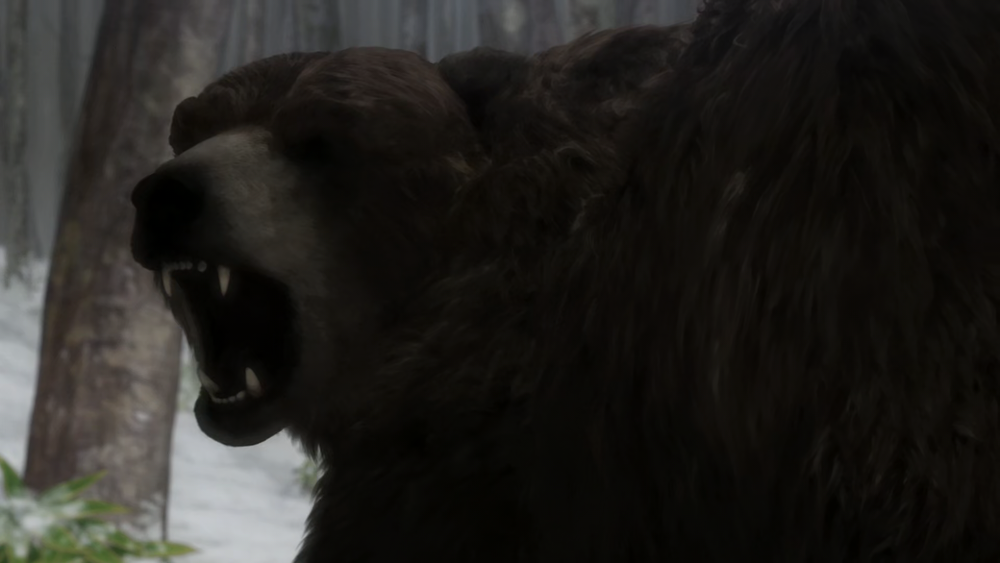 Ussuri brown bear - Wikipedia