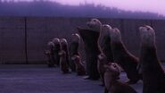 Finding Dory (2016)