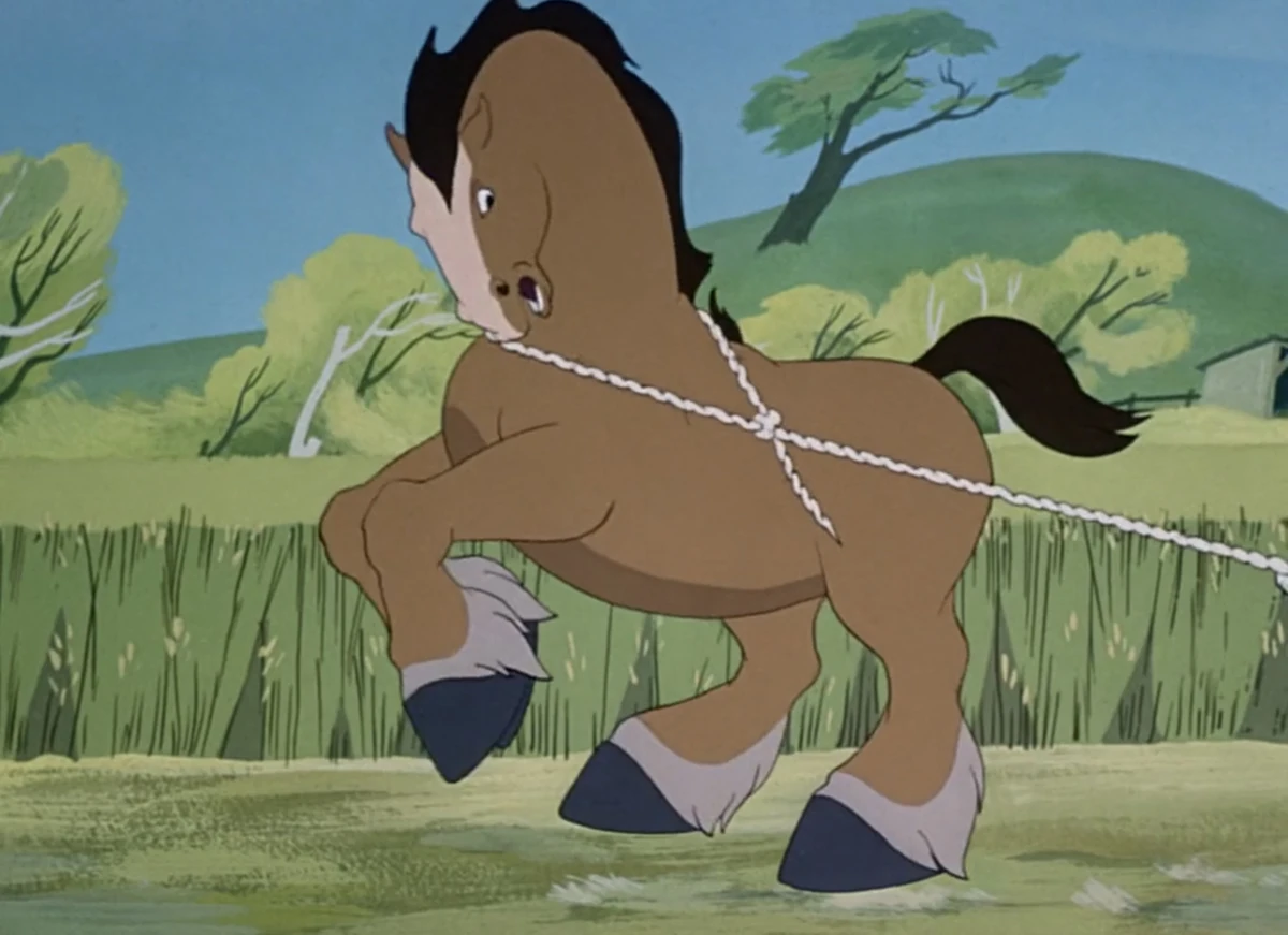 Clydesdale Horse | NatureRules1 Wiki | Fandom