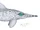 Ophthalmosaurus