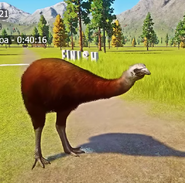 Planet Zoo (2019) (Mod Only)