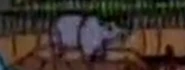 Rugrats (1991-2006)