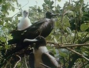 The Most Extreme (2002-2007)