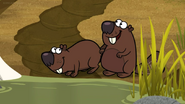 Nature Cat (2015-2024)