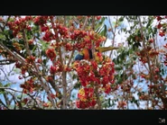 The Secret Of Life On Earth (1996)