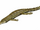 Elosuchus