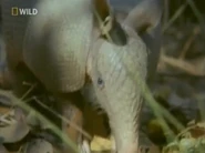 Hidden Worlds (2007)