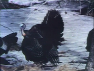 Still Waters (1979)