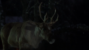 Prancer (1989)