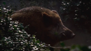 Year One (2009)