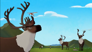 Molly of Denali (2019)