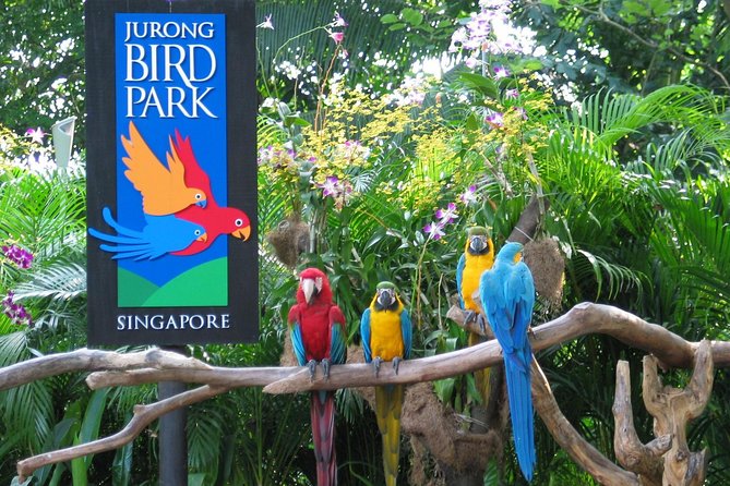 Jurong Bird Park