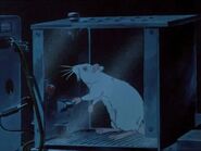 The Plague Dogs (1982)
