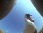 Supersense (1988)