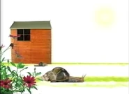 Amazing Animals (1996-1999)