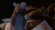 Animal Farm (1999)