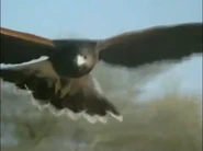 Land of the Eagle (1991)
