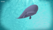 The Octonauts (2010)