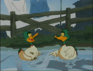 The Foxbusters (1999-2000)