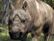 Land of Lost Monsters (2004)