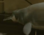 Oceans (2009)