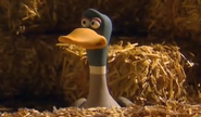 Creature Comforts (2003-2007)
